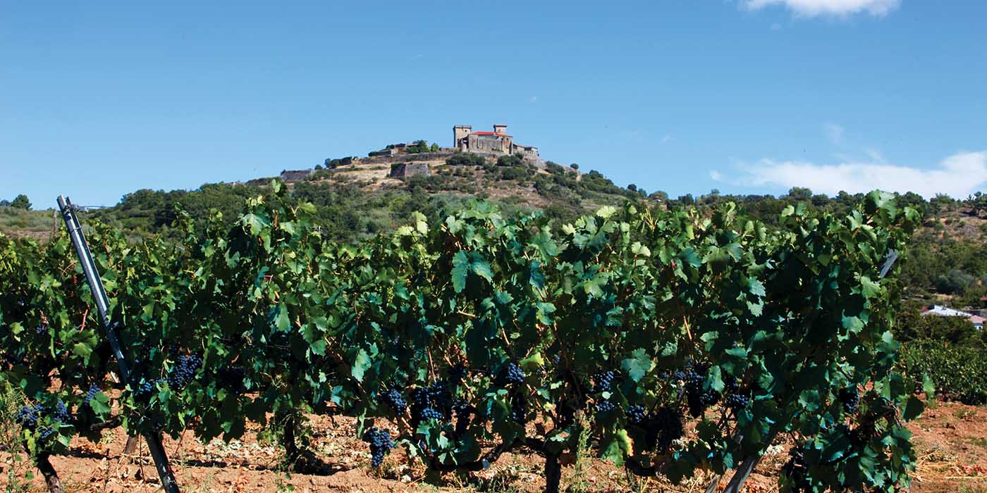 MONTERREI