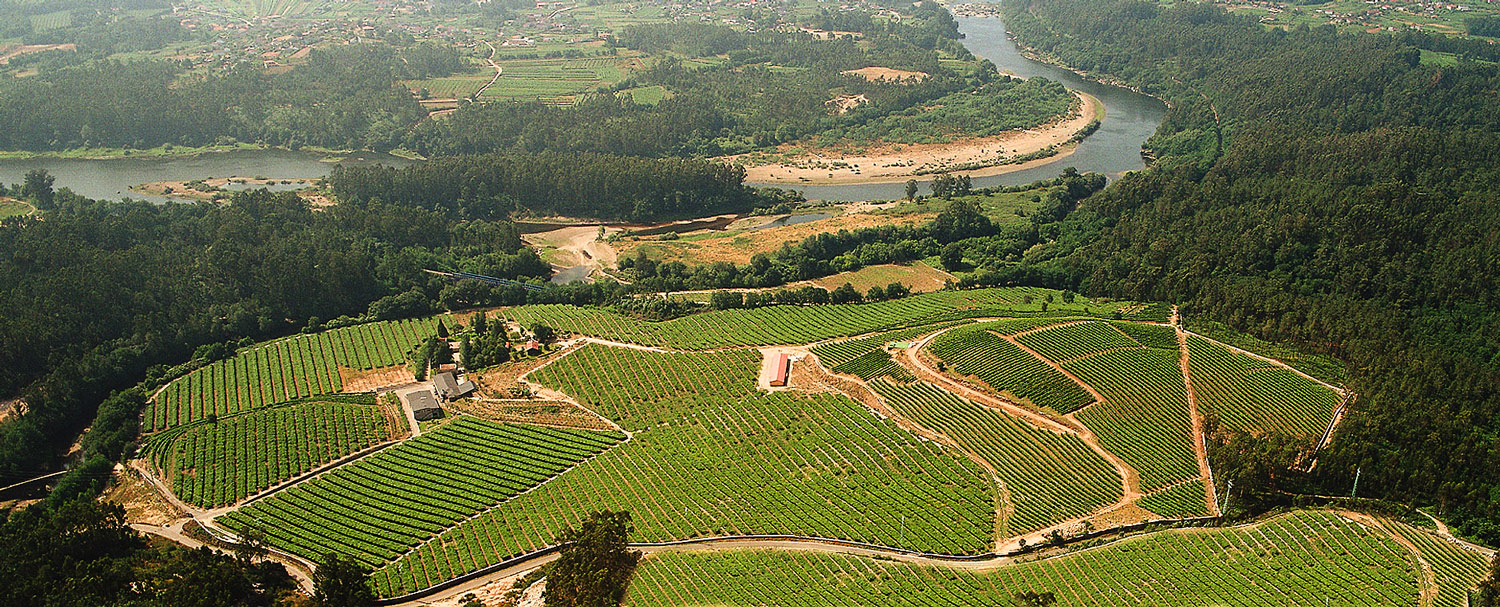 Bodega Fillaboa - Salvaterra de Miño