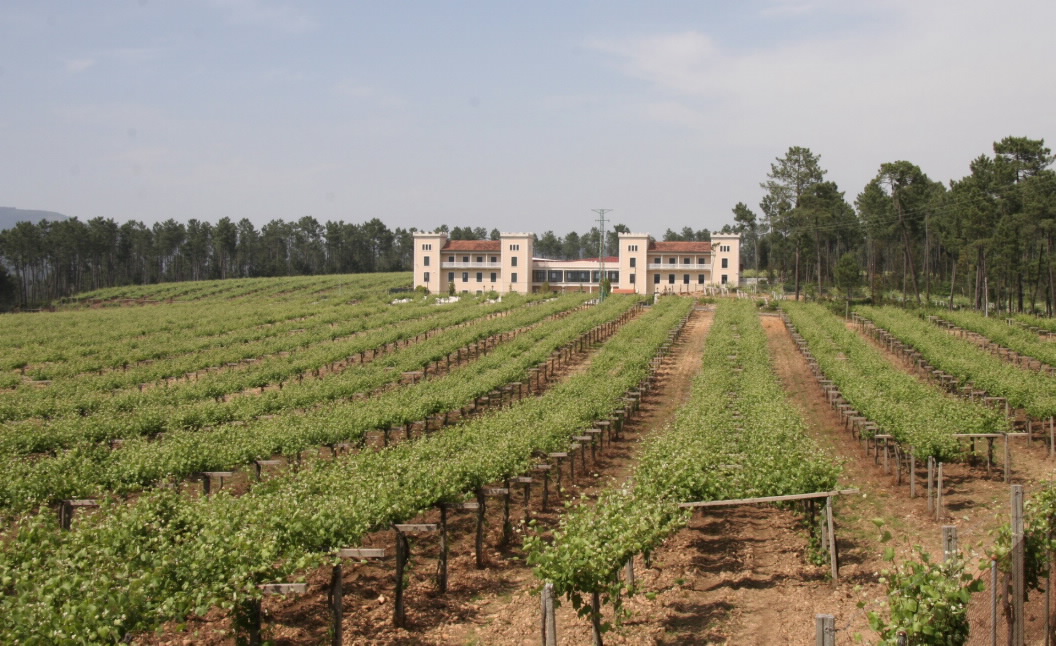 Bodega La Val - Salvaterra de Miño